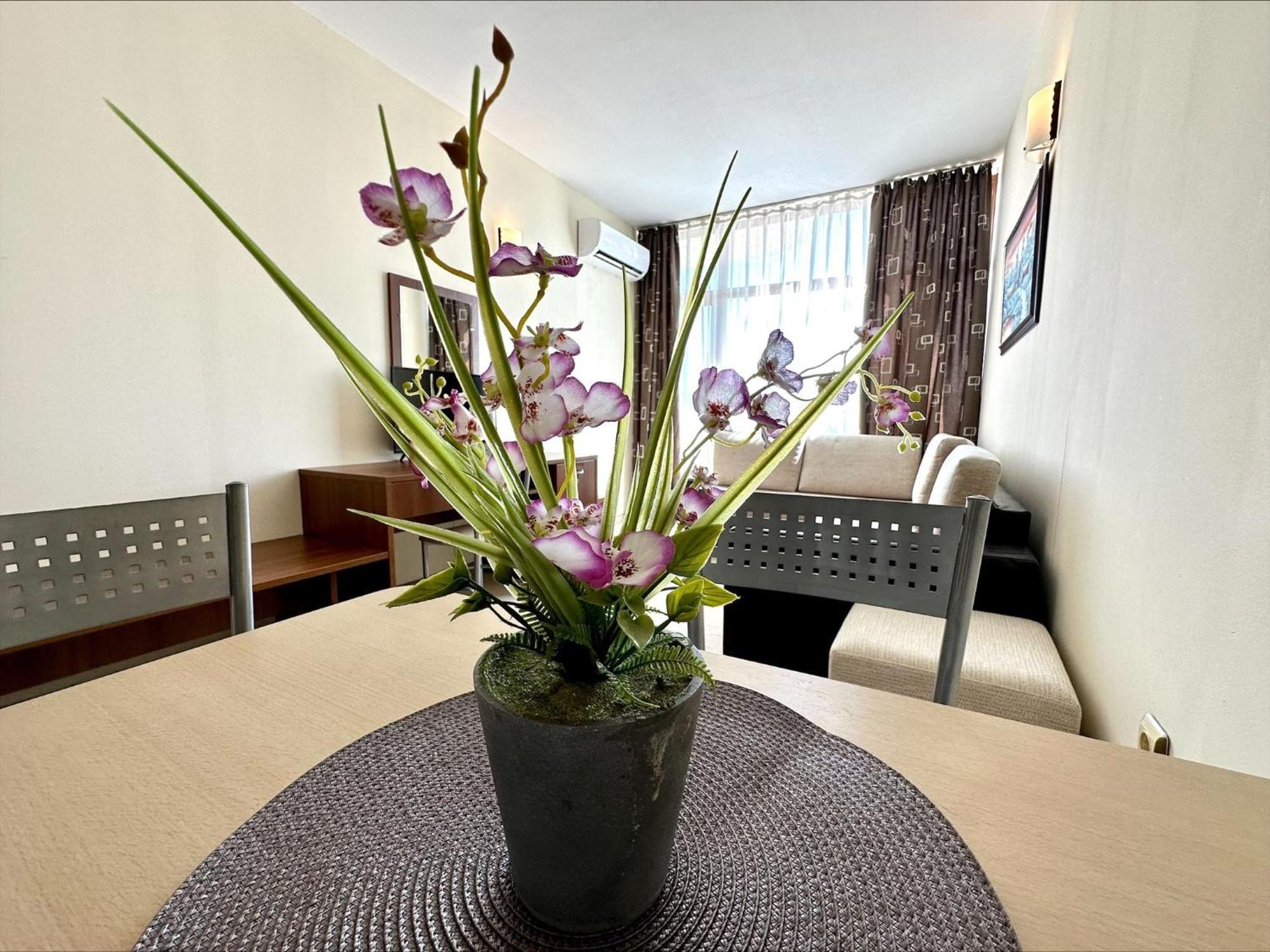 Grenada - Menada Apartments 써니비치 객실 사진